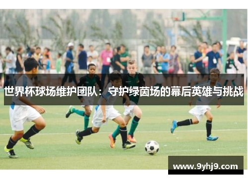 世界杯球场维护团队：守护绿茵场的幕后英雄与挑战